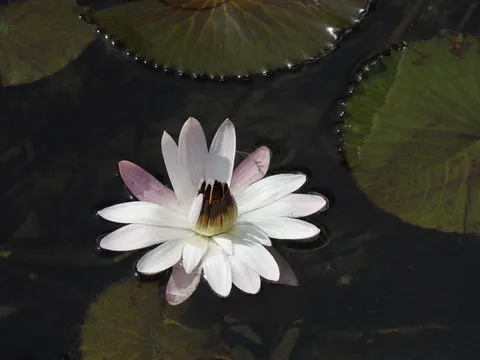 新华财经